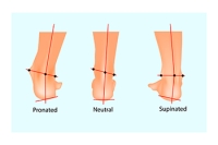 Understanding Pronation and Supination